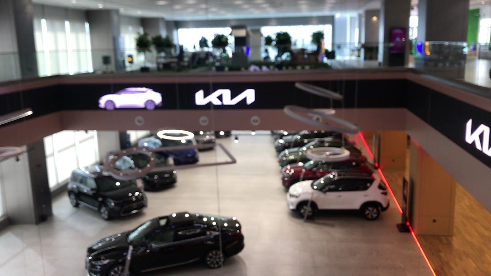Kia showroom — National Arab Motors in Amman